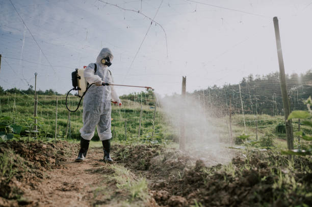 Best Commercial Pest Control Services  in Southworth, WA
