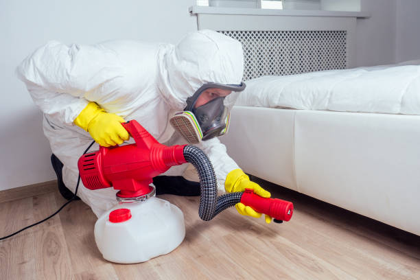 Best Pest Prevention Services  in Southworth, WA